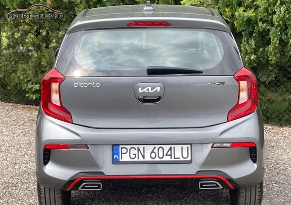 Kia Picanto cena 49900 przebieg: 7400, rok produkcji 2022 z Starachowice małe 407